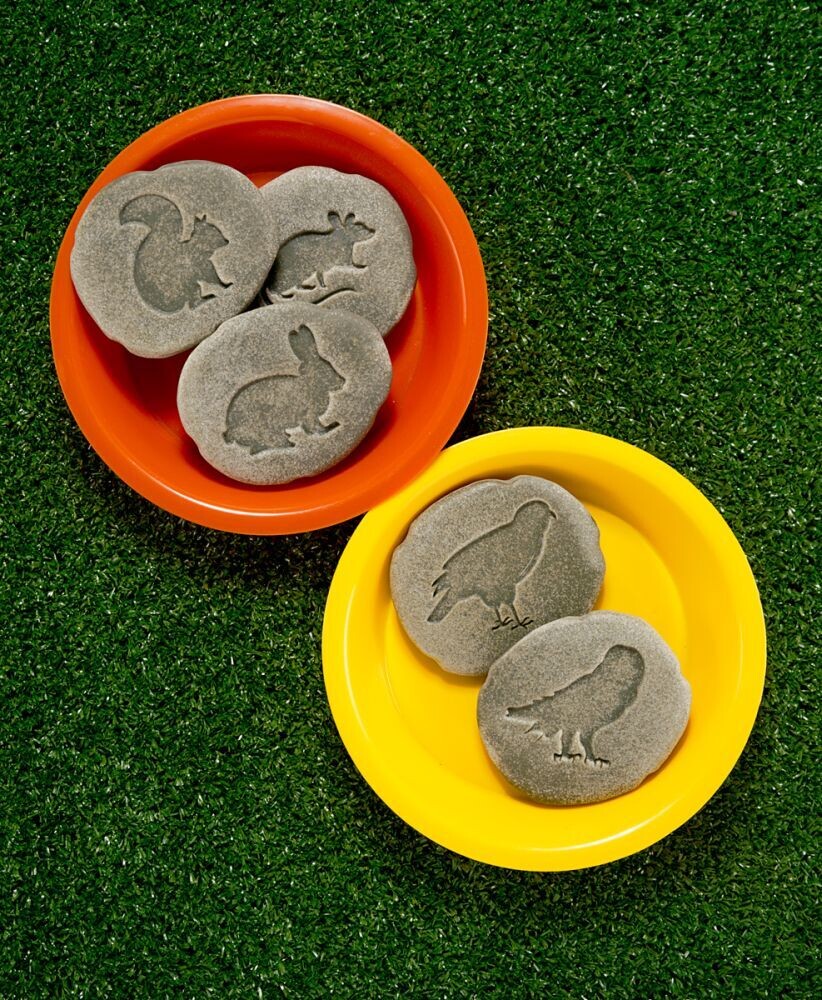 Let&#39;s Investigate - Waldtiere und Spuren