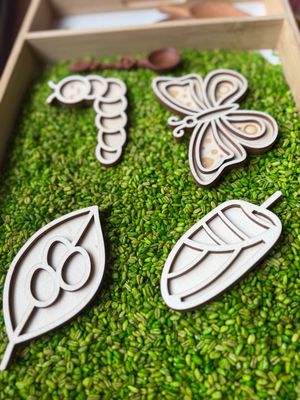 Schmetterling 4er Set