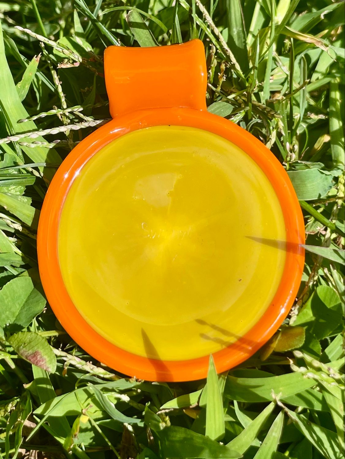 Swan glass UV pendant
