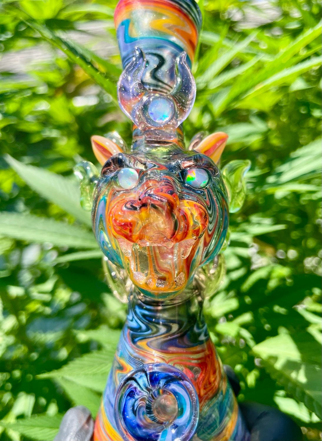 Sweeny tiger king 10mm 45 degree serum CFL