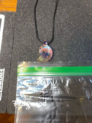 Ammonite pendant rainbow beerglass #1