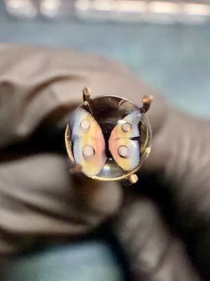 Butterfly Millie pearl UV steve h 6mm
