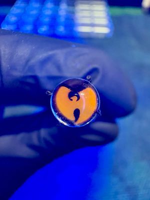 Wu tang Millie pearl UV steve h 6mm