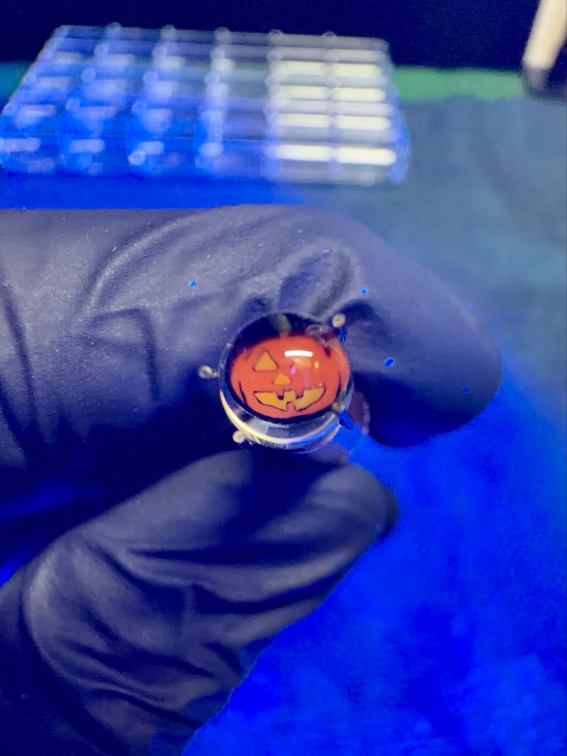 Pumpkin Millie pearl UV steve h 6mm