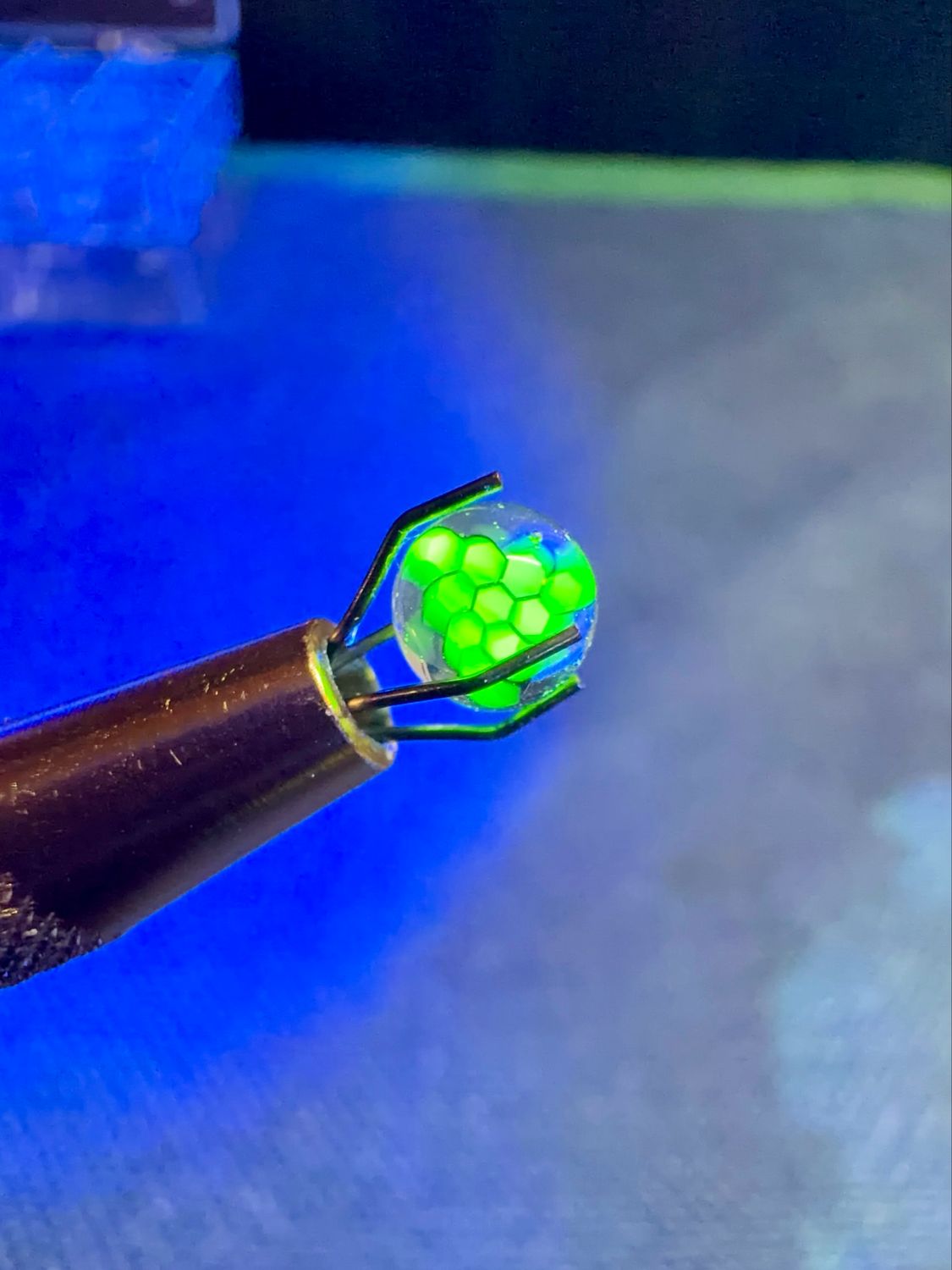 Uv Millie pearl UV steve h 6mm