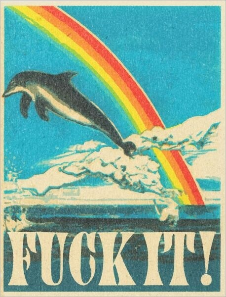 Dolphin Gift Card