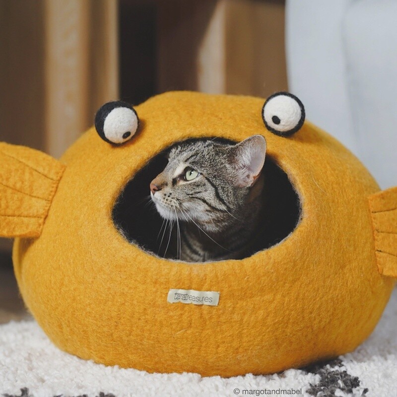 Cat Cave