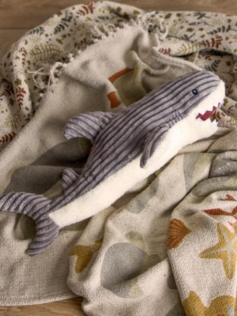 Peter the Shark