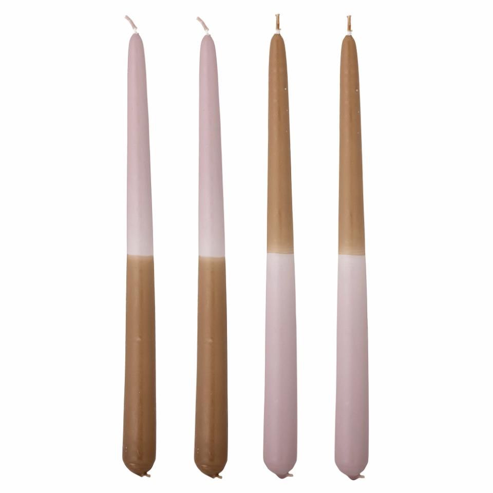 Burma Candle Rose