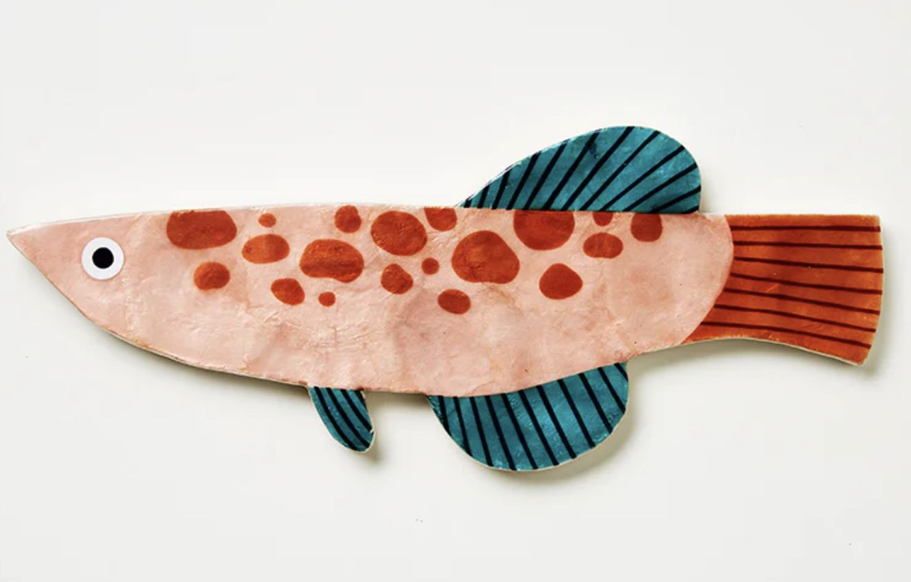 Comet Fish
