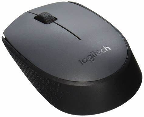 Mouse