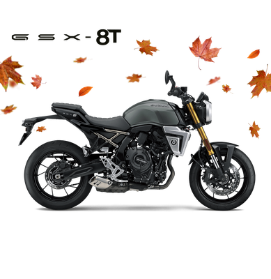 Suzuki GSX-8T *2026* | Gratis Griffheizung! Suzuki GSX-8T *2026* | Gratis Griffheizung!