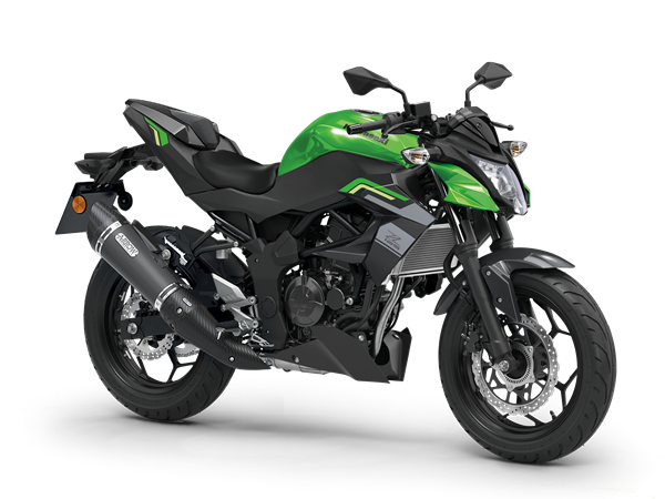 Kawasaki Z125 performance *2026* , alle Farben