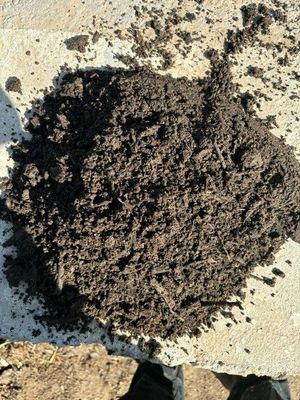Premium Potting Mix
