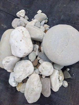 Decorative Stones 20-100mm