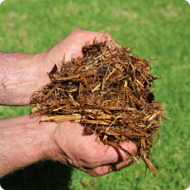 Cereal Mulch