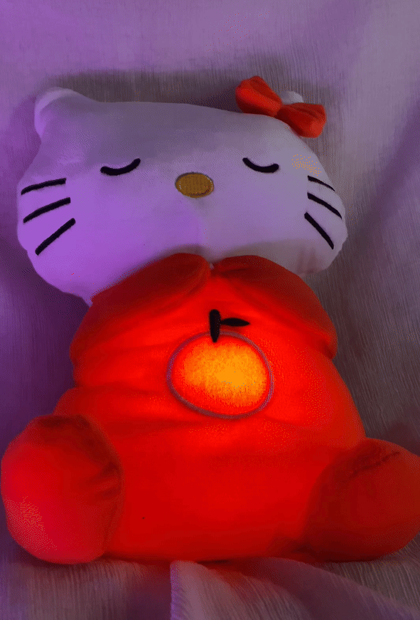 Sleeping Kitty