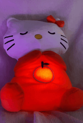 Sleeping Kitty