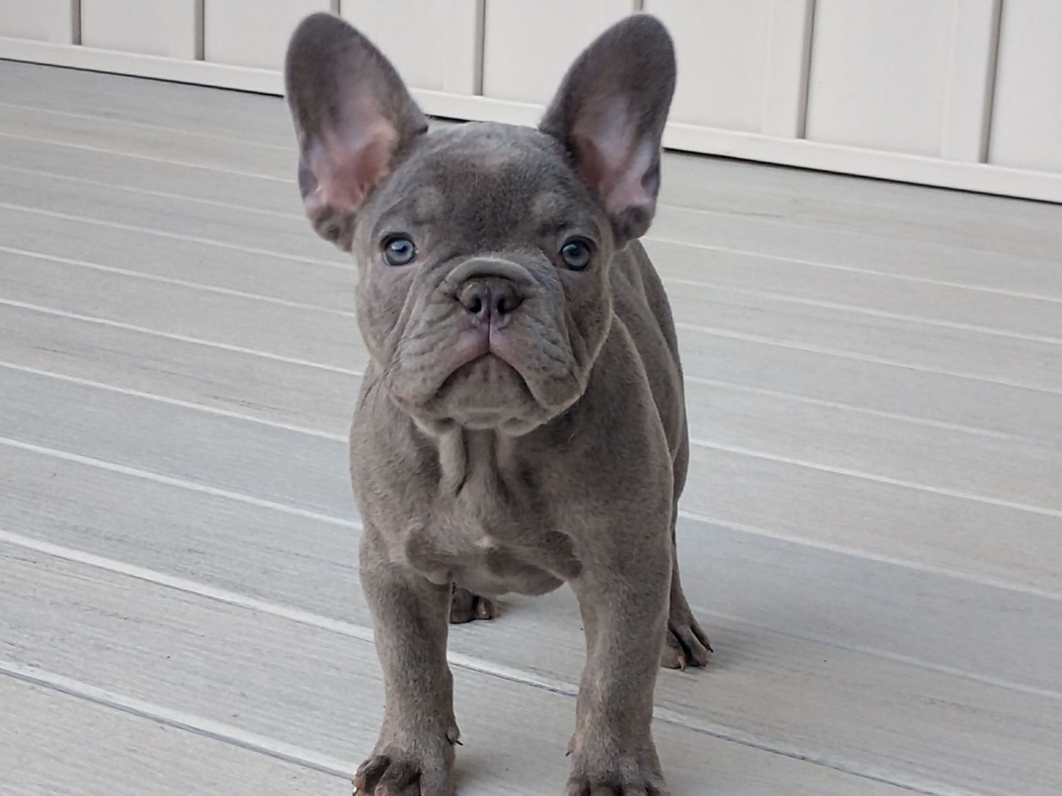 Max