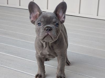 Max