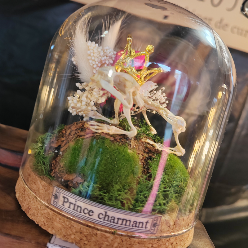 Globe "Prince charmant"