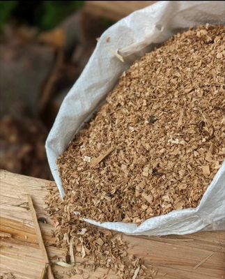 Sciure de pommier pour fumoir bran de scie pommier