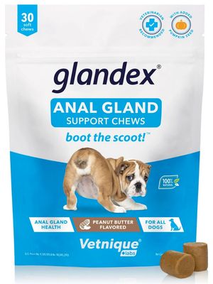 Glandex Soft Chews Anal Gland Support for Dogs 30-Count
