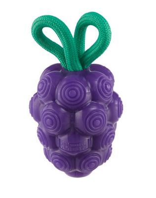 Planet Dog Dental Grapes Dog Chew Toy Purple Medium