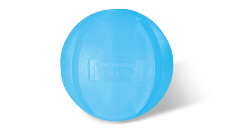 Planet Dog Orbee-Tuff GuRu Interactive Dog Toy, Blue
