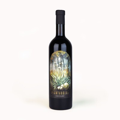 Vino Rosso &quot;Piantaggine&quot;