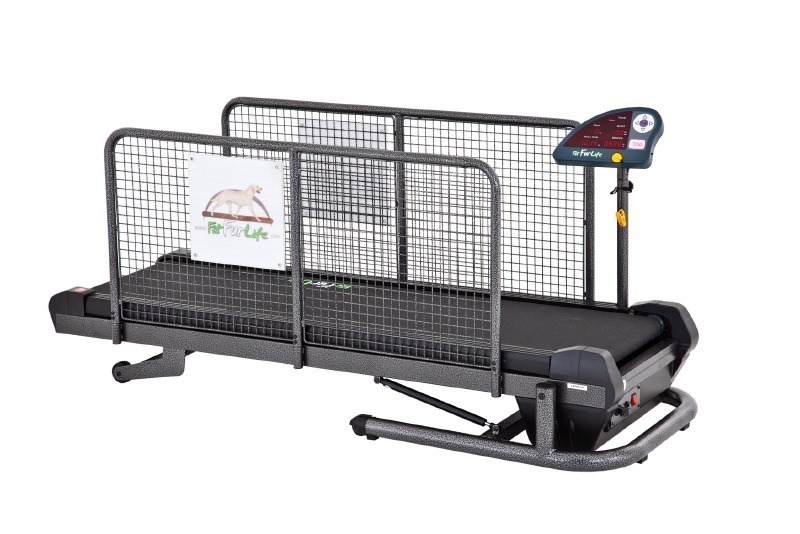fit fur life treadmill for sale
