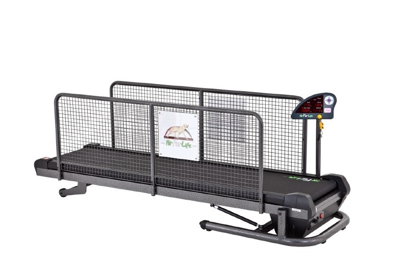 fit fur life treadmill for sale