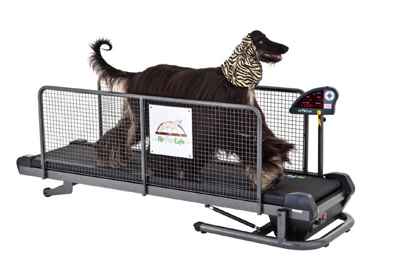 fit fur life treadmill for sale