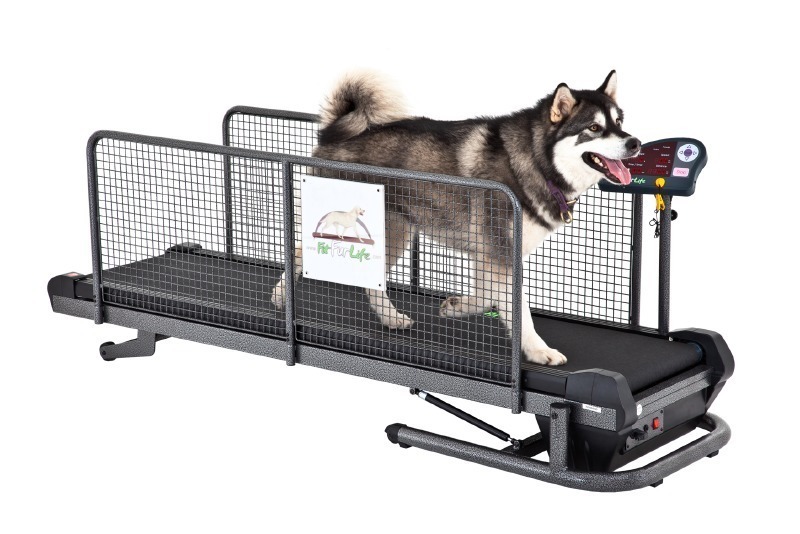fit fur life treadmill for sale