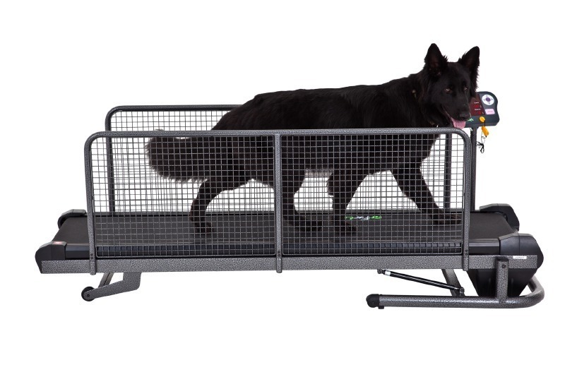 fit fur life treadmill for sale