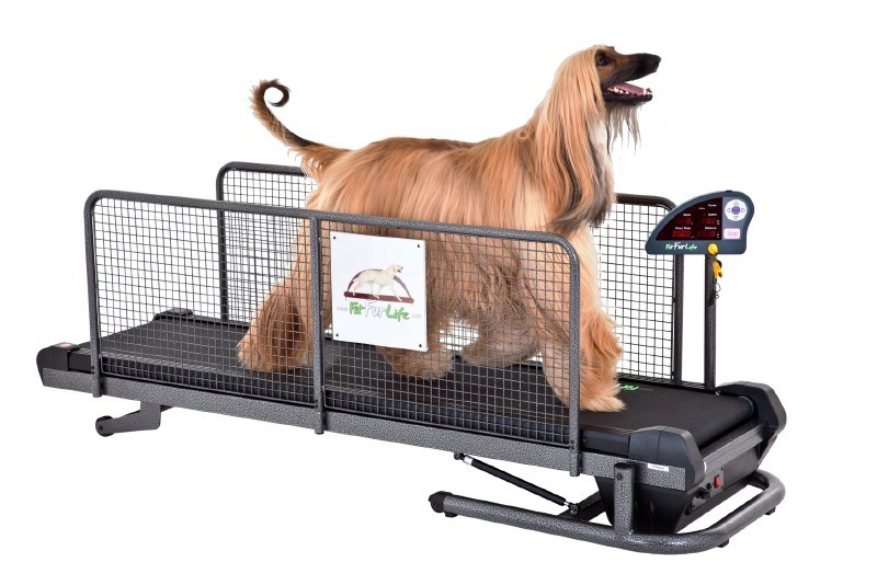 fit fur life treadmill for sale