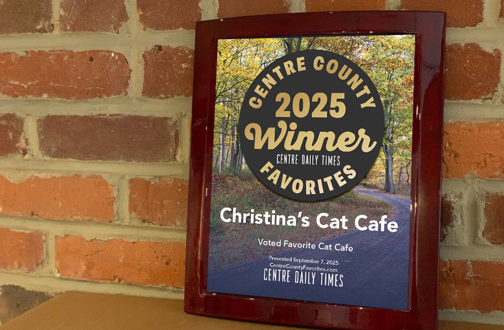 Rosewood with Metal Inlay Plaque