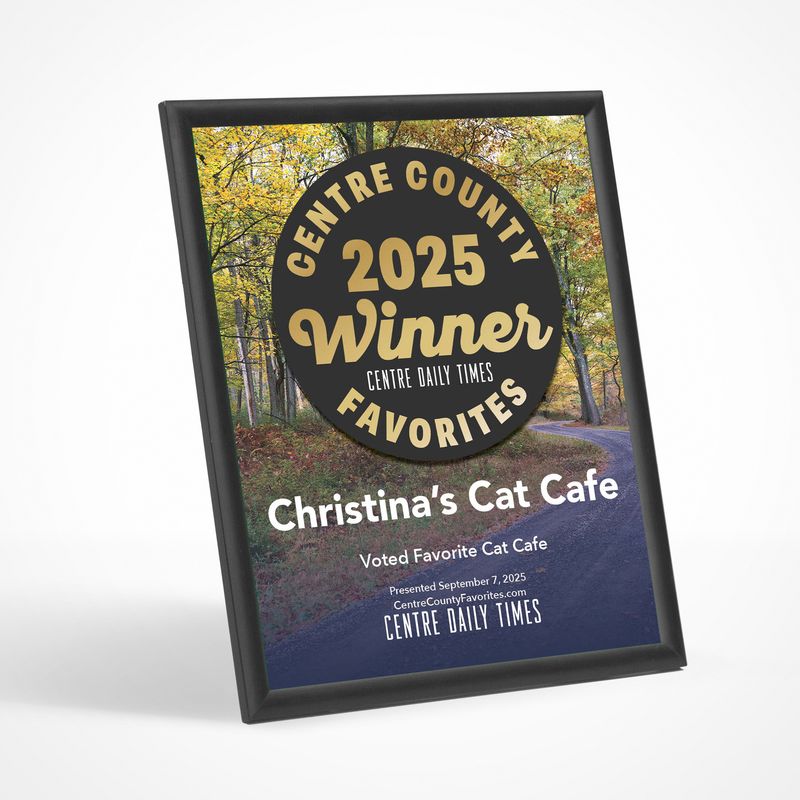 Winner&#39;s Modern Plaque