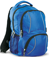 WP Biathlon Reflect Backpack - Royal Blue [Base price R400; with name R460]
