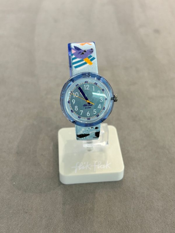 Flik Flak TIME TO DISCOVER