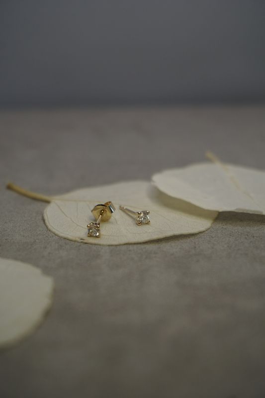 DIARA Studios Ohrringe KRAPPE