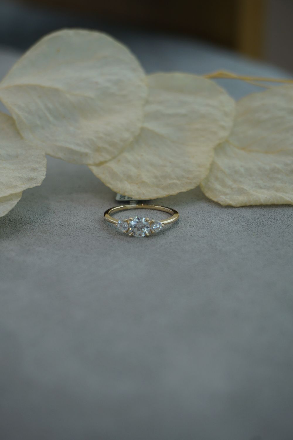 DIARA Studios Ring TRILOGY
