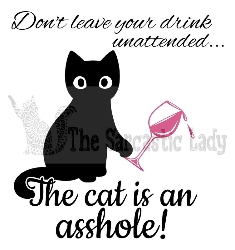 Don&#39;t Leave Your Drink Unattended.  The Cat Is An Asshole.