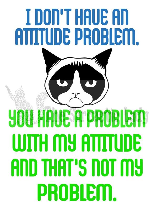 I Don&#39;t Have An Attitude Problem