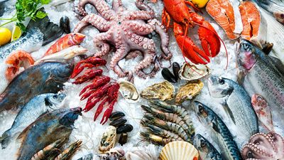 Seafood