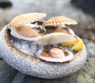 Shellfishes/Mixes