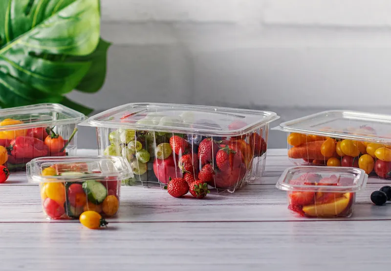 Hinged lid Container