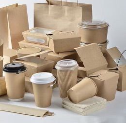 Carton/paper packaging