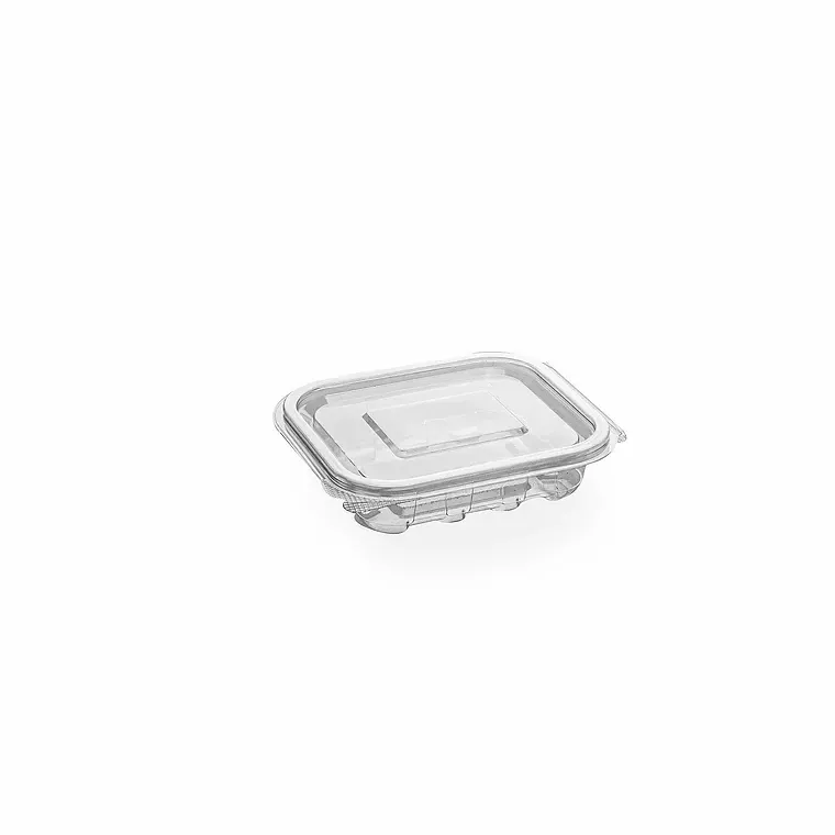 Hinged lid Container, Volume: 150 ml