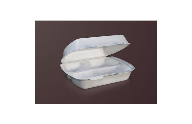 Foam plate with (3 sections)